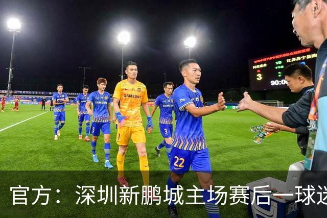 官方：深圳新鹏城主场赛后一球迷从看台跳入场内，深圳赛区被警告