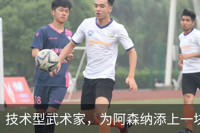 技术型武术家，为阿森纳添上一块拼图