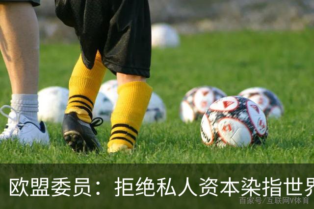 欧盟委员：拒绝私人资本染指世界杯 将调查是否违规