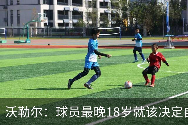 沃勒尔：球员最晚18岁就该决定自己效力的国家队，而不是频繁改变
